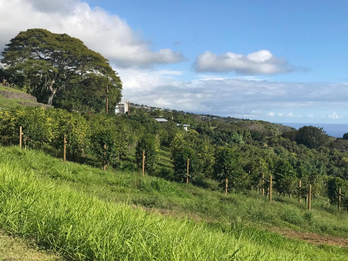 Hotel Nohokai At Kona Joe Coffee Farm Kealakekua Exterior foto